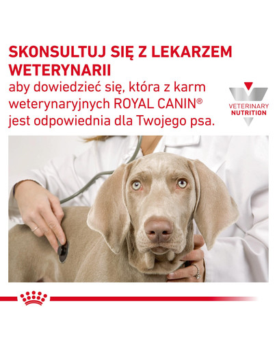 ROYAL CANIN Veterinary Gastrointestinal Low Fat 420 g pasztet o obniżonej zawartości tłuszczu dla psów z zaburzeniami żołądkowo-jelitowymi