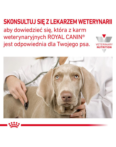 ROYAL CANIN Hepatic 200 g mokra karma mokra dla dorosłych psów ze schorzeniami wątroby
