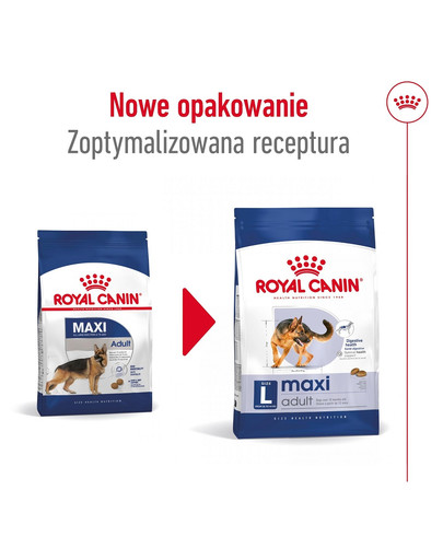 ROYAL CANIN Maxi Adult 4kg karma sucha dla psów dorosłych, do 5 roku życia, ras dużych