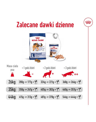 ROYAL CANIN Maxi Adult 10kg karma sucha dla psów dorosłych, do 5 roku życia, ras dużych