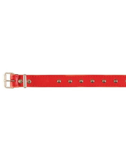 Basic obroża nitowana ( L )  46 - 55 cm / 22 mm