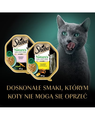 SHEBA Nature's Collection Mix Smaków w sosie tacka 8x85g kurczakiem z papryką i łosoś z groszkiem