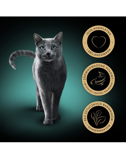 SHEBA Classic in Pate Ocean Selection mix smaków rybnych w formie pasztetu Biała Ryba, dorsz, łosoś i tuńczyk 32x85g