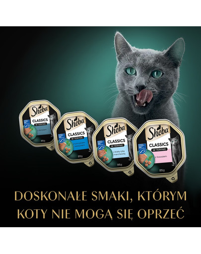 SHEBA Classic in Pate Ocean Selection mix smaków rybnych w formie pasztetu Biała Ryba, dorsz, łosoś i tuńczyk 32x85g