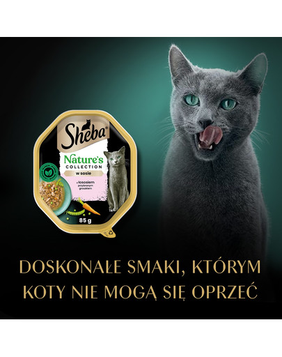 Nature's Collection 85 g w sosie z łososiem i groszkiem