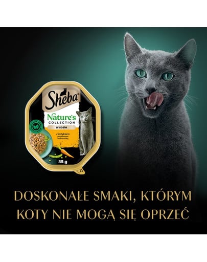 Nature's Collection 85 g w sosie z indykiem i marchewką