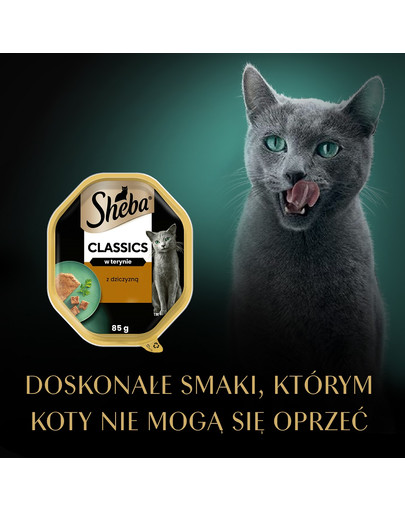 SHEBA Classics tacka 85 g w terynie z dziczyzną