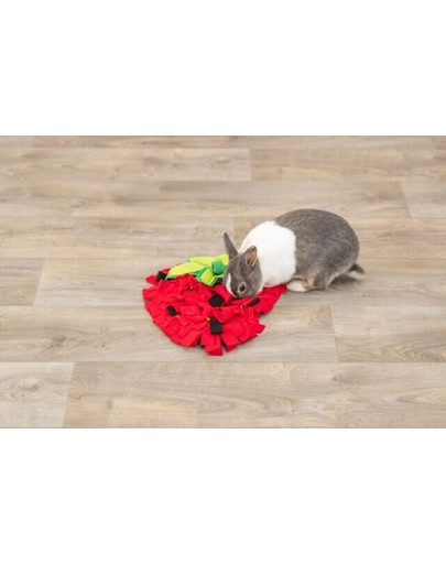 Mata węchowa dla kawii i królików truskawka czerwona 33 × 40 cm