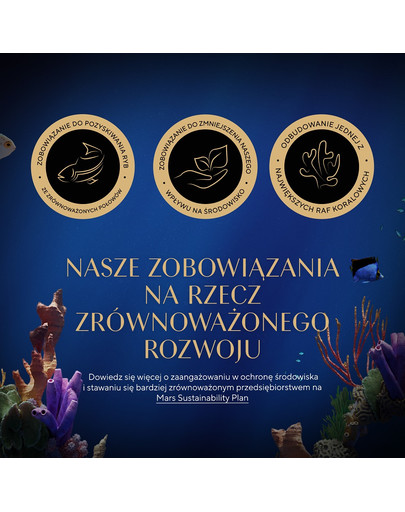 Delicacy Rybne smaki saszetki w galaretce 80 x 85g łosoś, biała ryba, tuńczyk i dorsz