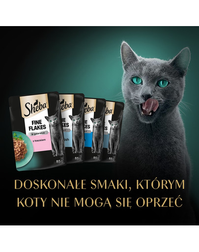 Delicacy Rybne smaki saszetki w galaretce 80 x 85g łosoś, biała ryba, tuńczyk i dorsz