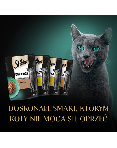 Delicacy Drobiowe smaki saszetki w galaretce 80x85g kaczka, kurczak, drób