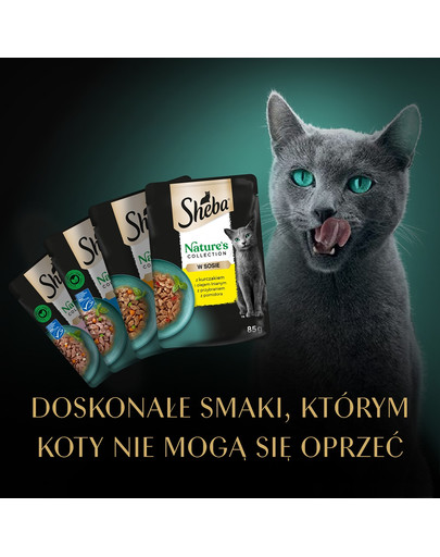 SHEBA Nature’s Collection Wybór Smaków mokra karma pełnoporcjowa dla dorosłych kotów w sosie