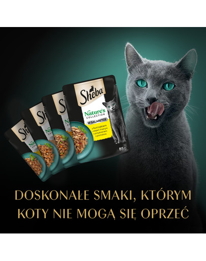 SHEBA Nature’s Collection Drobiowe Smaki mokra karma pełnoporcjowa dla dorosłych kotów w galaretce saszetka 4x85g