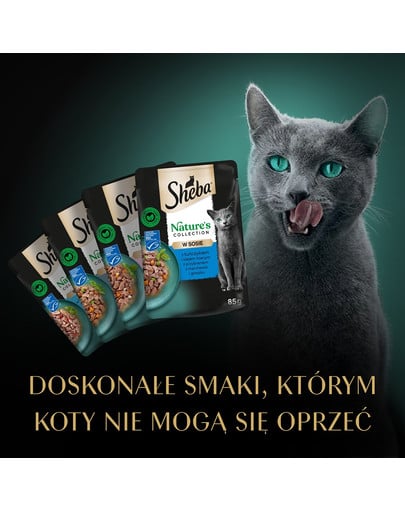 SHEBA  Nature’s Collection Rybne Smaki mokra karma pełnoporcjowa dla dorosłych kotów w sosie tuńczykiem i olejem lnianym saszetka 4x85 g