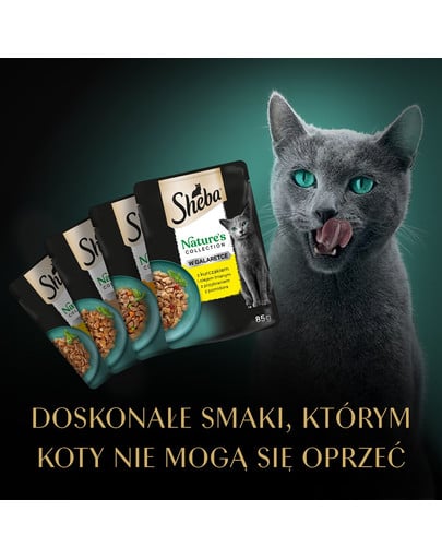 SHEBA Nature’s Collection Drobiowe Smaki 40x85 g w galaretce kawałki z kurczakiem, indykiem, kaczką, drobiem dla dorosłych kotów