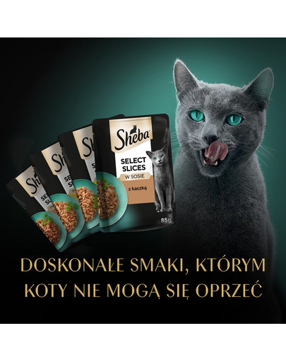 SHEBA Selection Select Slices Drobiowe Smaki saszetki 120x85 g w sosie kawałki z: kaczką, kurczakiem, drobiem, kaczką i indykiem  dla dorosłych kotów