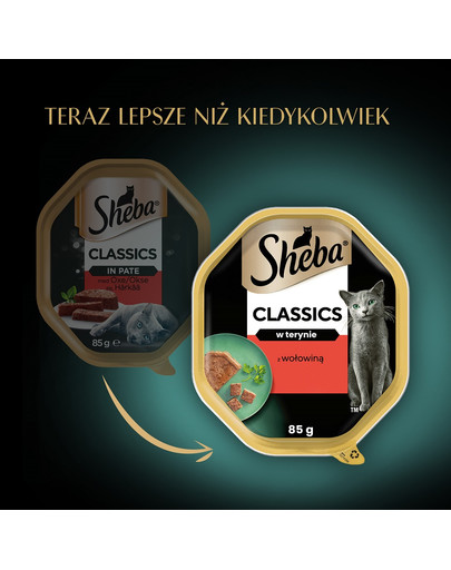 SHEBA Classics 85g z Wołowiną - mokra karma dla kotów w pasztecie