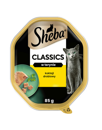 SHEBA Classics tacka 85 g mokra karma pełnoporcjowa dla dorosłych kotów koktajl drobiowy w terynie