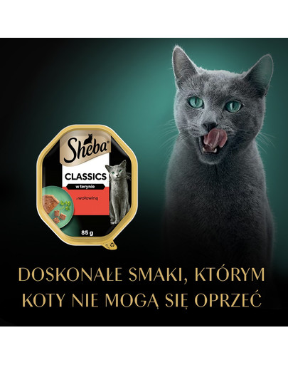 SHEBA Classics 85 g mokra karma dla kotów w pasztecie