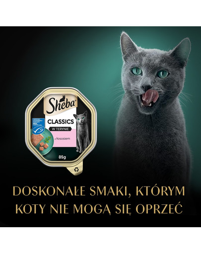 SHEBA Classics 85 g mokra karma dla kotów w pasztecie