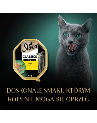 SHEBA Classics 85 g mokra karma dla kotów w pasztecie