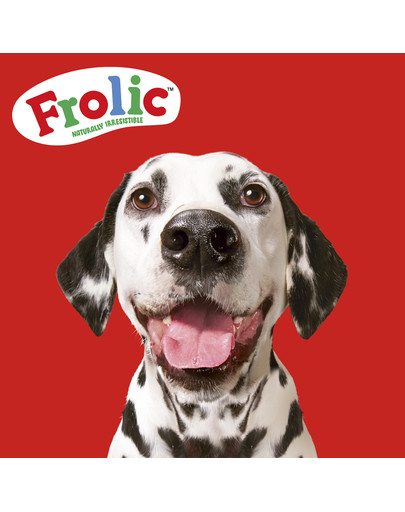 FROLIC Naturally Irresistible 2,6 kg półwilgotna karma dla psów ze świeżą wołowiną