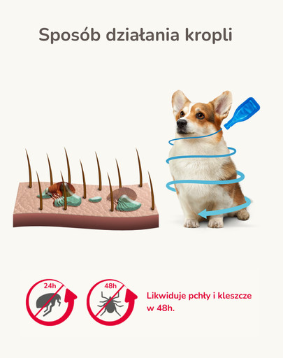 BEAPHAR Fiprotec Dog M 134 mg 1 pipeta kropli p/pasożytom