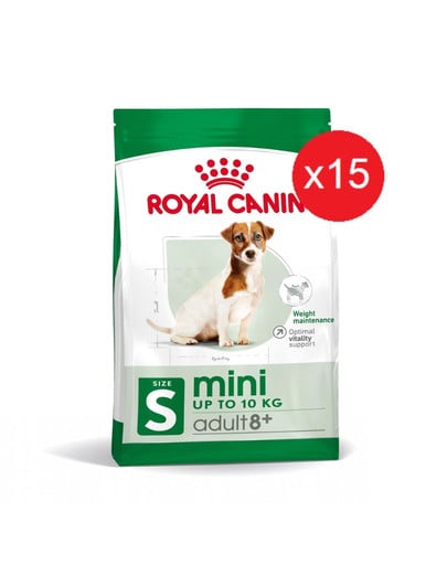 ROYAL CANIN Mini Adult 8+ 800 g karma sucha dla psów starszych od 8 do 12 roku życia ras małych x 15