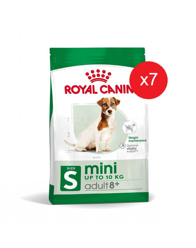 ROYAL CANIN Mini Adult 8+ 2 kg karma sucha dla psów starszych od 8 do 12 roku życia ras małych x 7