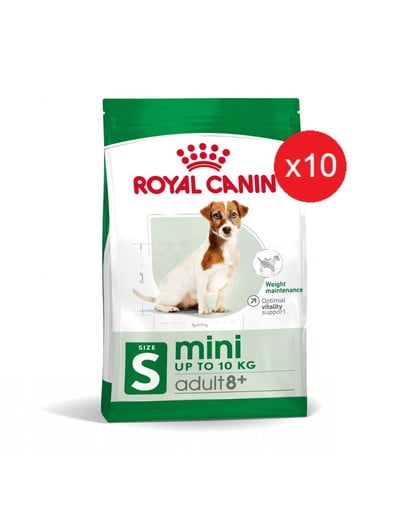 ROYAL CANIN Mini Adult 8+ dla psów starszych od 8 do 12 roku życia, ras małych 8 kg (10 x 0,8 kg)