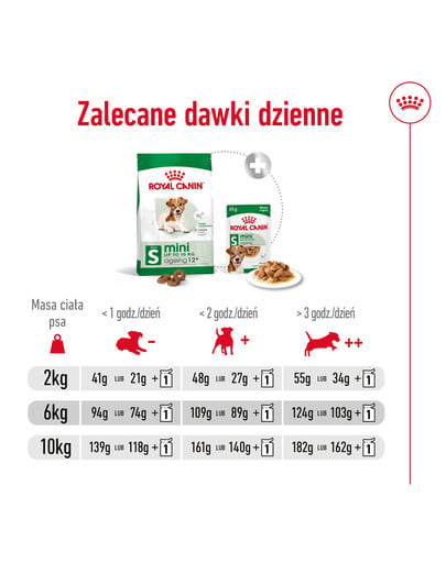 ROYAL CANIN Mini Adult 12+ 800 g karma sucha dla psów dojrzałych po 12 roku życia, ras małych