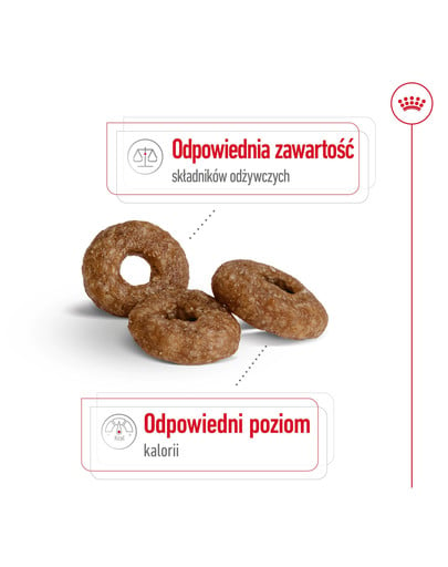 ROYAL CANIN Mini Adult 12+ 800 g karma sucha dla psów dojrzałych po 12 roku życia, ras małych