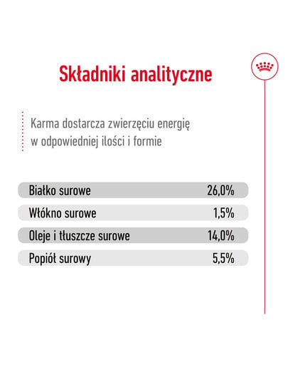 ROYAL CANIN Mini Adult 12+ 800 g karma sucha dla psów dojrzałych po 12 roku życia, ras małych