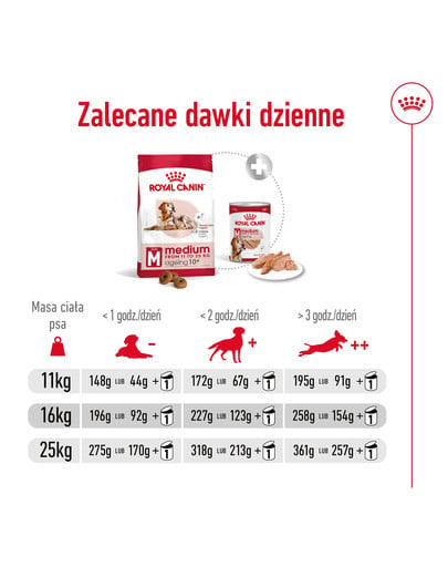 ROYAL CANIN Medium Ageing 10+ 15 kg karma sucha dla psów dojrzałych po 10 roku życia, ras średnich