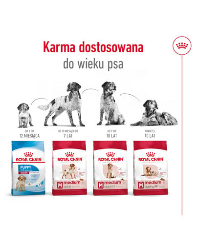 ROYAL CANIN Medium Ageing 10+ 15 kg karma sucha dla psów dojrzałych po 10 roku życia, ras średnich