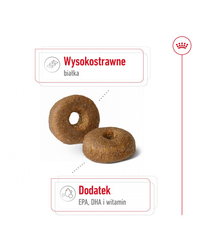 ROYAL CANIN Maxi Ageing 8+ 3 kg karma sucha dla psów dojrzałych, po 8 roku życia, ras dużych