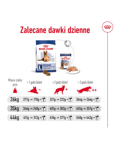 ROYAL CANIN Maxi Ageing 8+ 3 kg karma sucha dla psów dojrzałych, po 8 roku życia, ras dużych