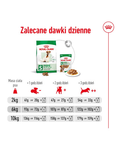 ROYAL CANIN Mini Adult 8+ 4 kg karma sucha dla psów starszych od 8 do 12 roku życia, ras małych