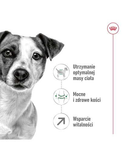 ROYAL CANIN Mini Adult 8+ 2 kg karma sucha dla psów starszych od 8 do 12 roku życia, ras małych