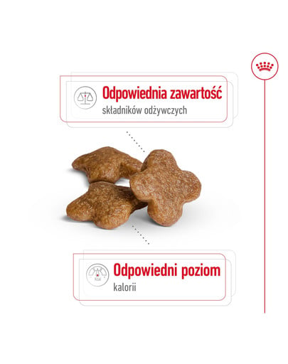 ROYAL CANIN Mini Adult 8+ 2 kg karma sucha dla psów starszych od 8 do 12 roku życia, ras małych