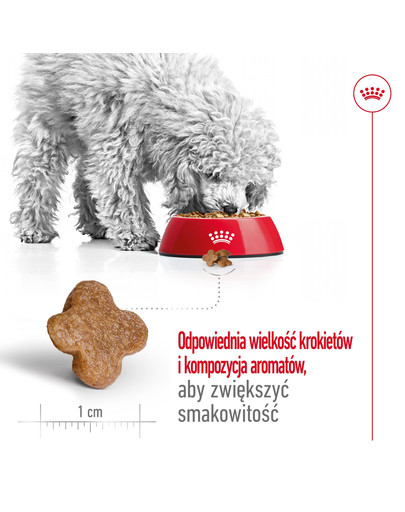 ROYAL CANIN Mini Adult 8+ 4 kg karma sucha dla psów starszych od 8 do 12 roku życia, ras małych