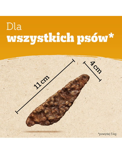 PEDIGREE Ranchos Superfoods z indykiem, żurawiną i ryżem 70g