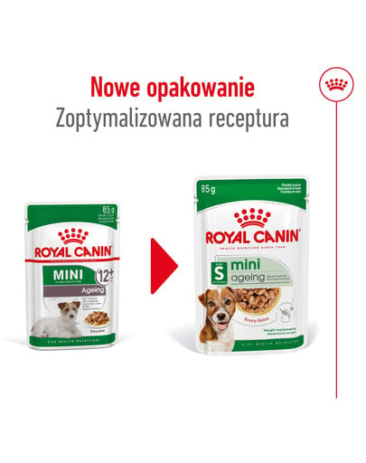 ROYAL CANIN Mini ageing 12+ karma mokra w sosie dla psów dojrzałych po 12 roku życia, ras małych