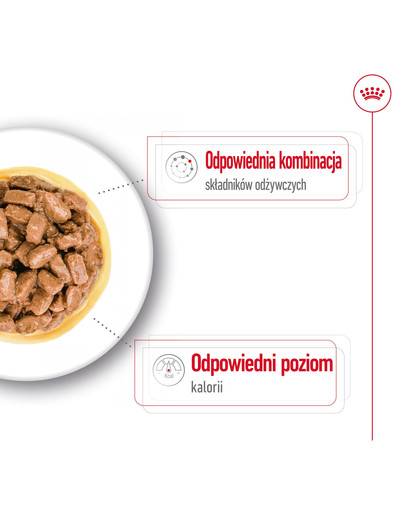 ROYAL CANIN Mini ageing 12+ 12x85 g karma mokra w sosie dla psów dojrzałych po 12 roku życia, ras małych