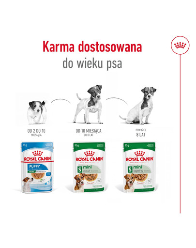 ROYAL CANIN Mini ageing 12+ 12x85 g karma mokra w sosie dla psów dojrzałych po 12 roku życia, ras małych
