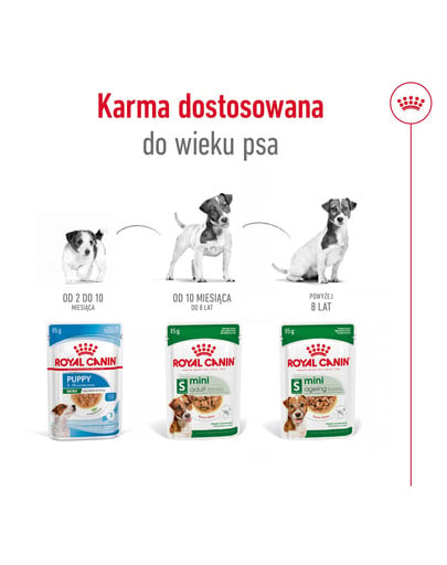 ROYAL CANIN Mini ageing 12+ karma mokra w sosie dla psów dojrzałych po 12 roku życia, ras małych