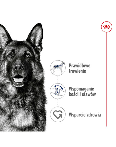 ROYAL CANIN Maxi Adult 15 kg karma sucha dla psów dorosłych, do 5 roku życia, ras dużych