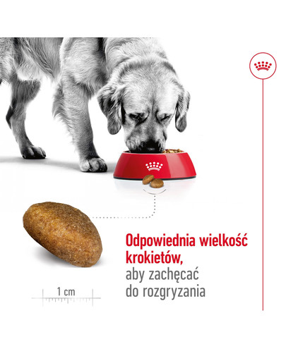 ROYAL CANIN Maxi Adult 15 kg karma sucha dla psów dorosłych, do 5 roku życia, ras dużych