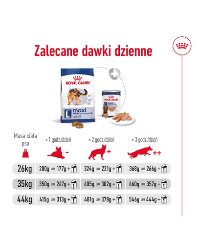 ROYAL CANIN Maxi Adult 15 kg karma sucha dla psów dorosłych, do 5 roku życia, ras dużych