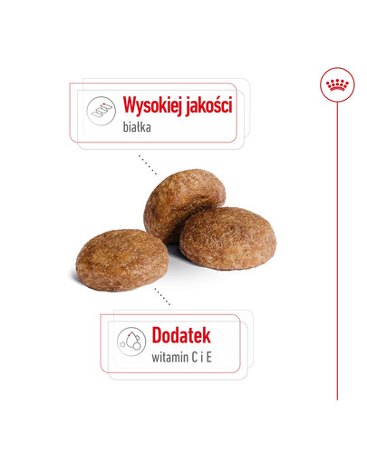 ROYAL CANIN Medium adult 7+ 10 kg sucha karma dla psów powyżej 7 roku życia, ras średnich